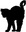 ctempuu